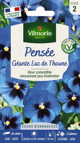 Fleurs - Pensée Géante Lac de Thoune - PACKAGING_RECTO